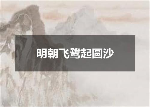 明朝飞鹭起圆沙