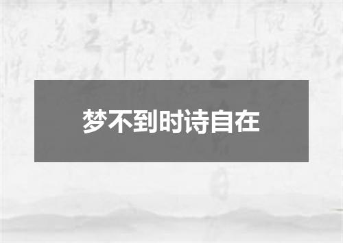 梦不到时诗自在