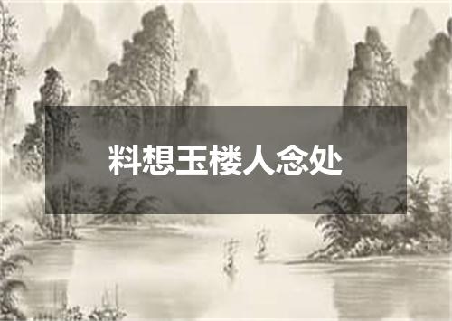 料想玉楼人念处