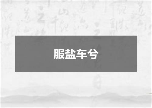 服盐车兮