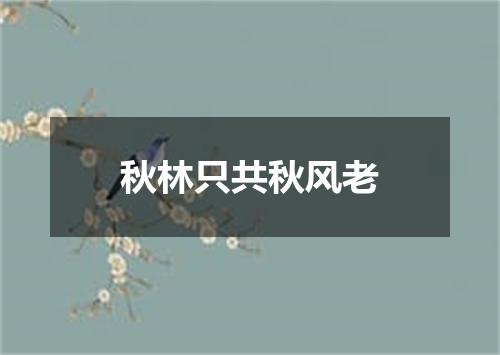 秋林只共秋风老