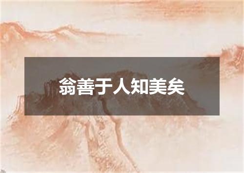 翁善于人知美矣
