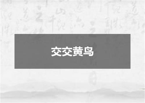 交交黄鸟