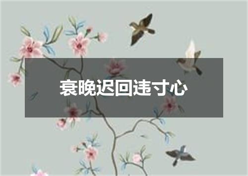 衰晚迟回违寸心