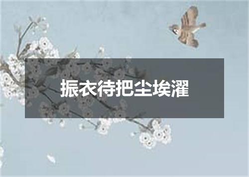 振衣待把尘埃濯