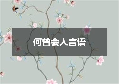 何曾会人言语