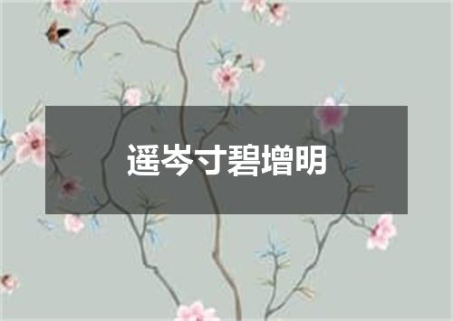 遥岑寸碧增明