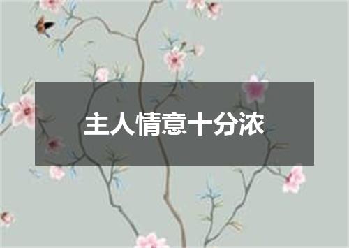 主人情意十分浓