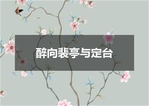 醉向裴亭与定台