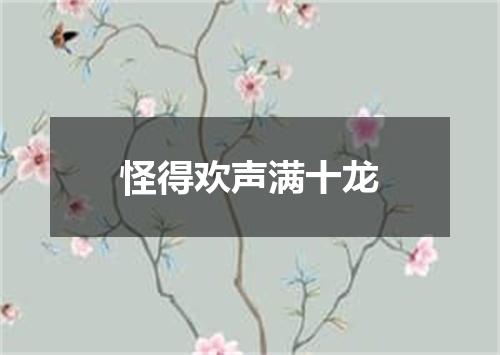 怪得欢声满十龙