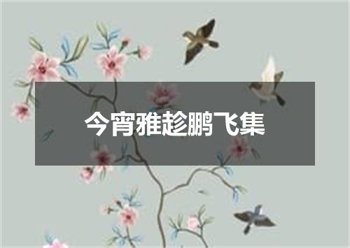 今宵雅趁鹏飞集
