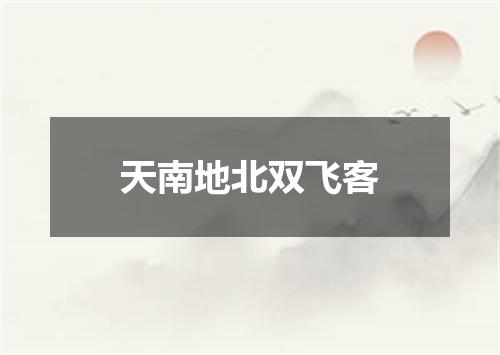 天南地北双飞客