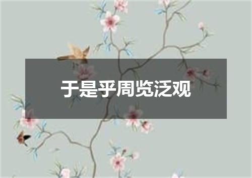 于是乎周览泛观