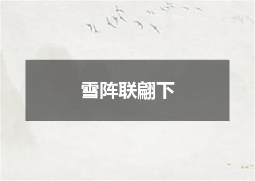 雪阵联翩下