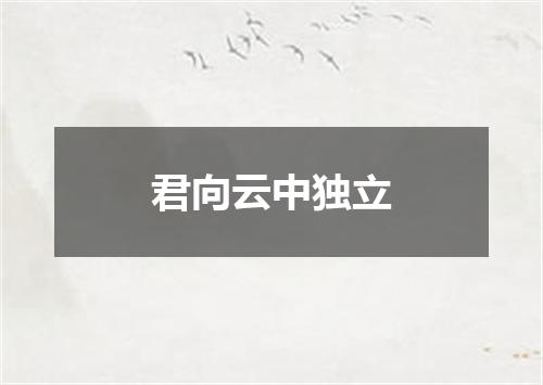 君向云中独立