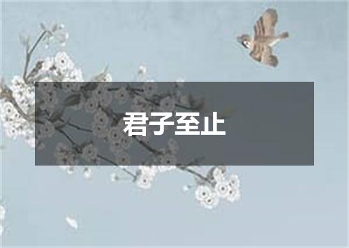 君子至止