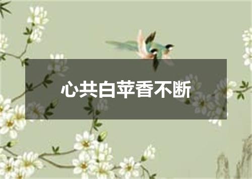心共白苹香不断