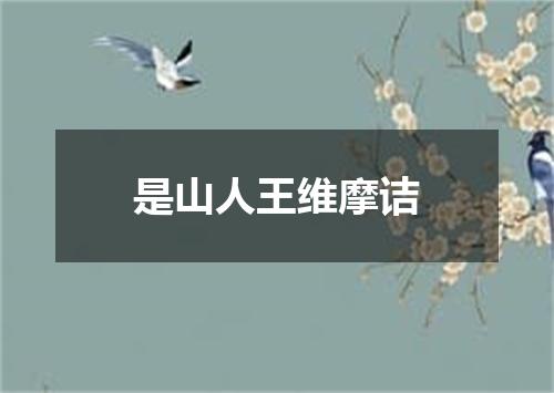 是山人王维摩诘