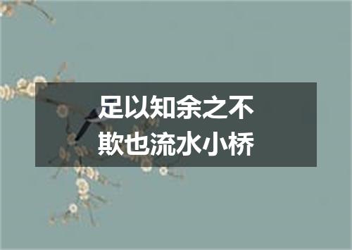 足以知余之不欺也流水小桥