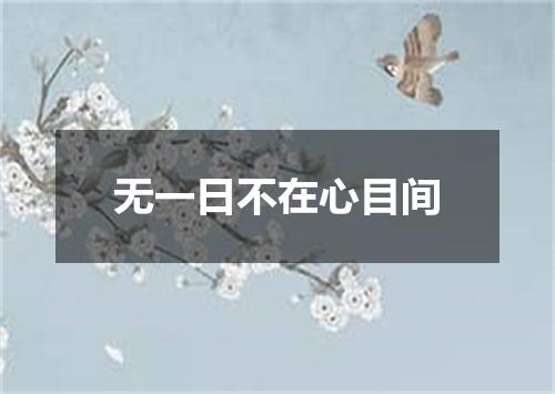 无一日不在心目间
