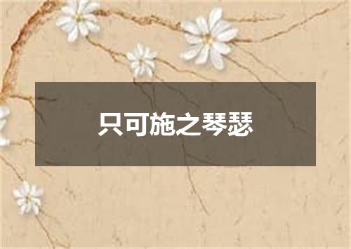 只可施之琴瑟