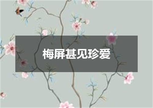 梅屏甚见珍爱