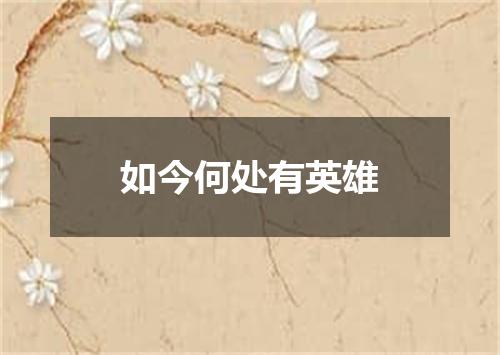 如今何处有英雄
