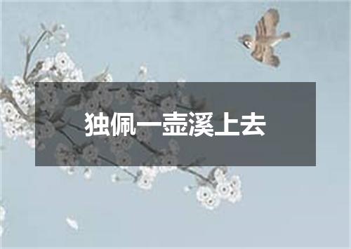 独佩一壶溪上去