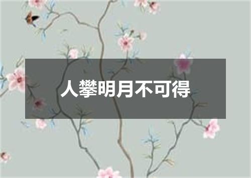 人攀明月不可得