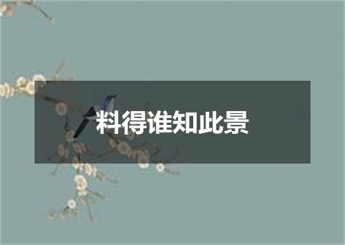 料得谁知此景