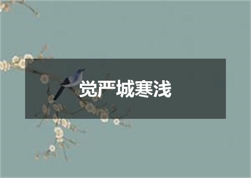 觉严城寒浅