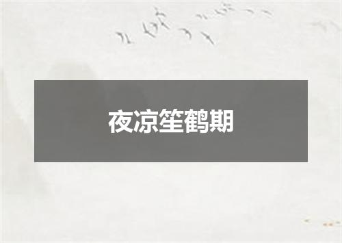 夜凉笙鹤期