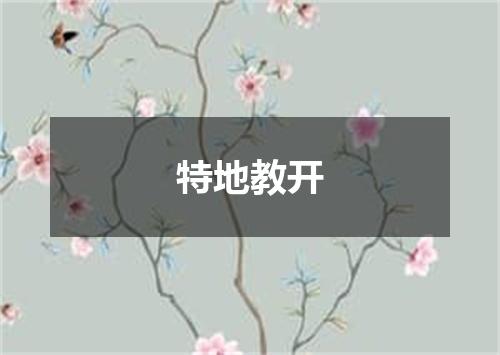 特地教开