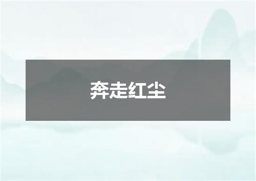 奔走红尘