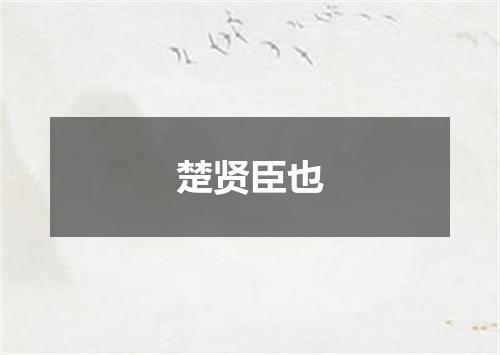 楚贤臣也