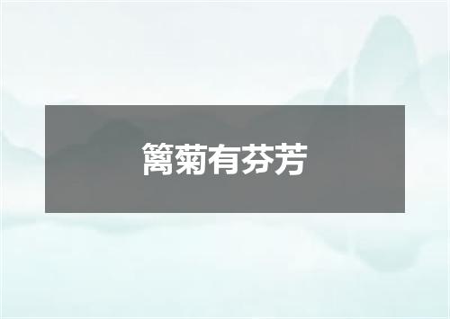 篱菊有芬芳