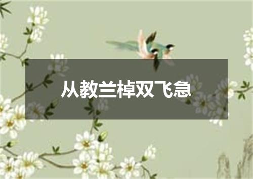 从教兰棹双飞急