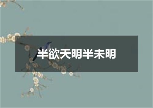 半欲天明半未明