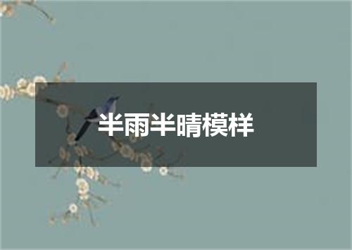 半雨半晴模样