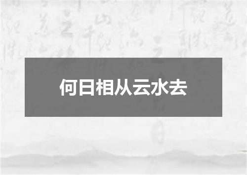 何日相从云水去