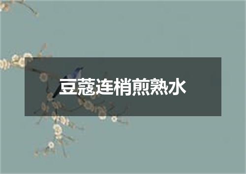 豆蔻连梢煎熟水
