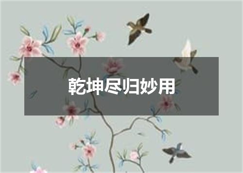 乾坤尽归妙用