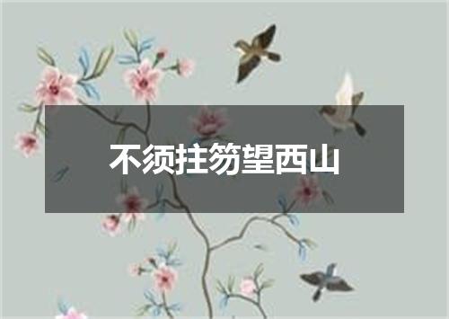 不须拄笏望西山