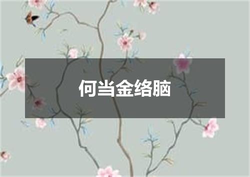 何当金络脑