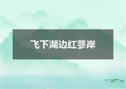 飞下湖边红蓼岸