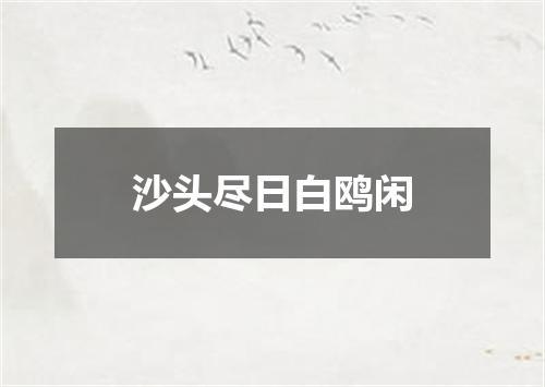 沙头尽日白鸥闲
