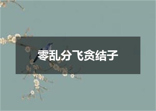 零乱分飞贪结子