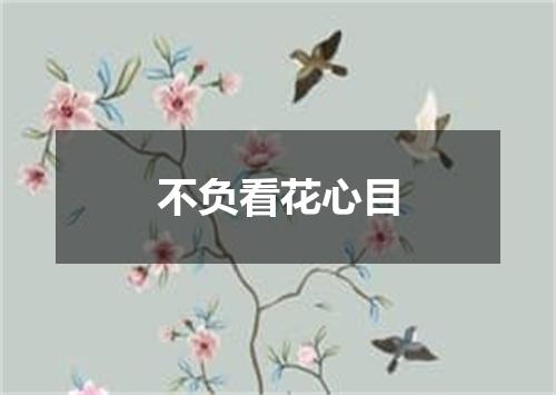 不负看花心目