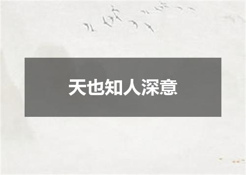 天也知人深意