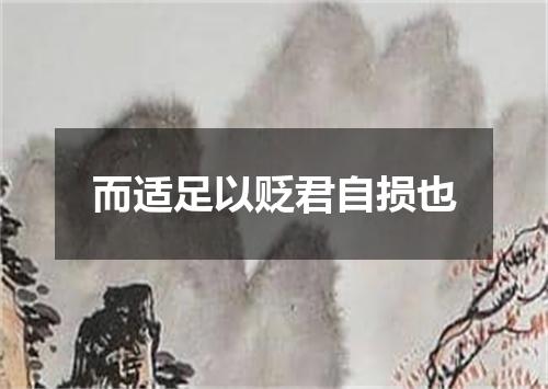 而适足以贬君自损也